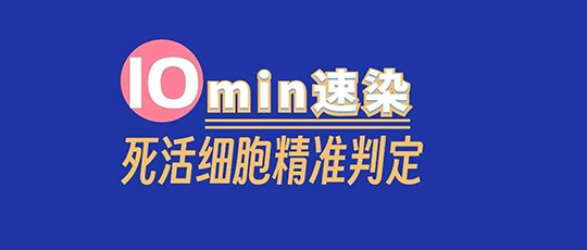 细胞死活检测总踩坑？10 min快染试剂盒，帮你告别假阳性！
