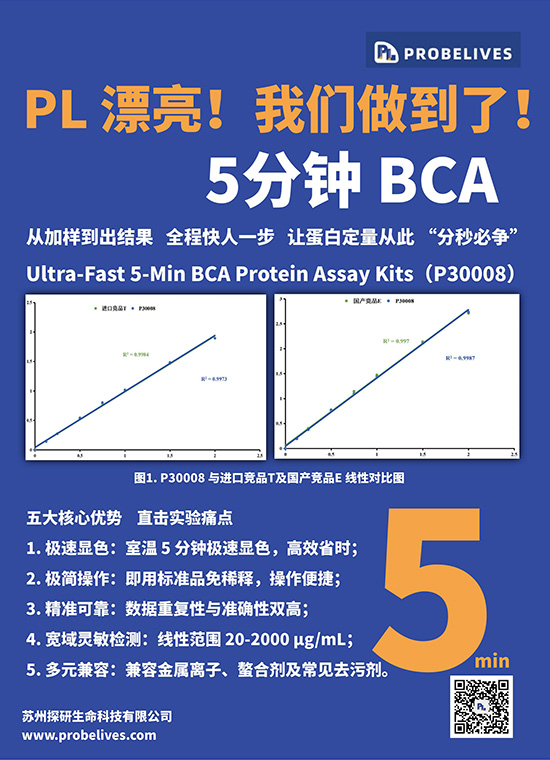 P30008-蛋白定量BCA
