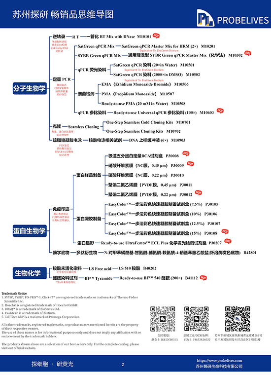 探研产品中文目录思维导图
