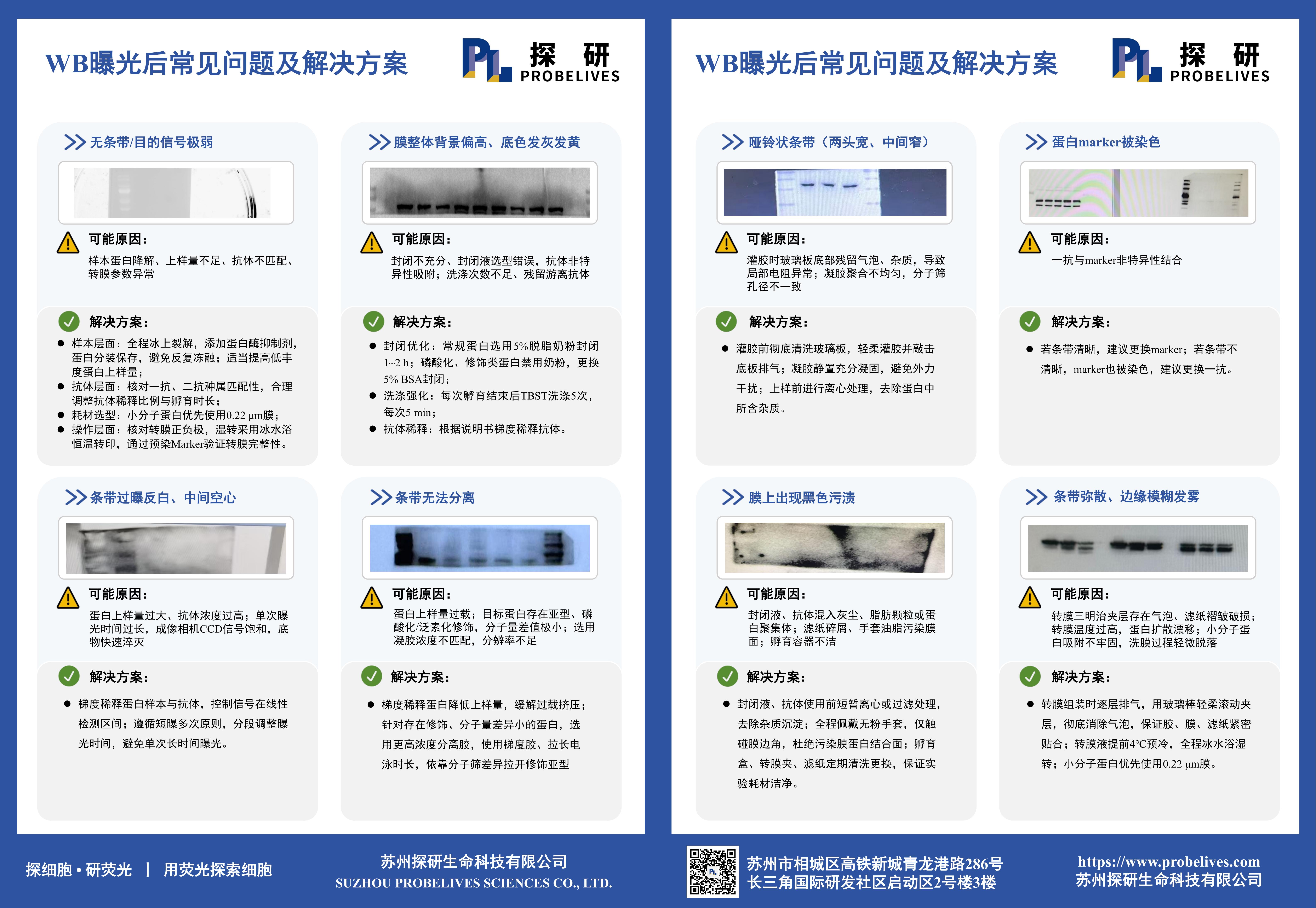 WB曝光后常见问题及解决方案