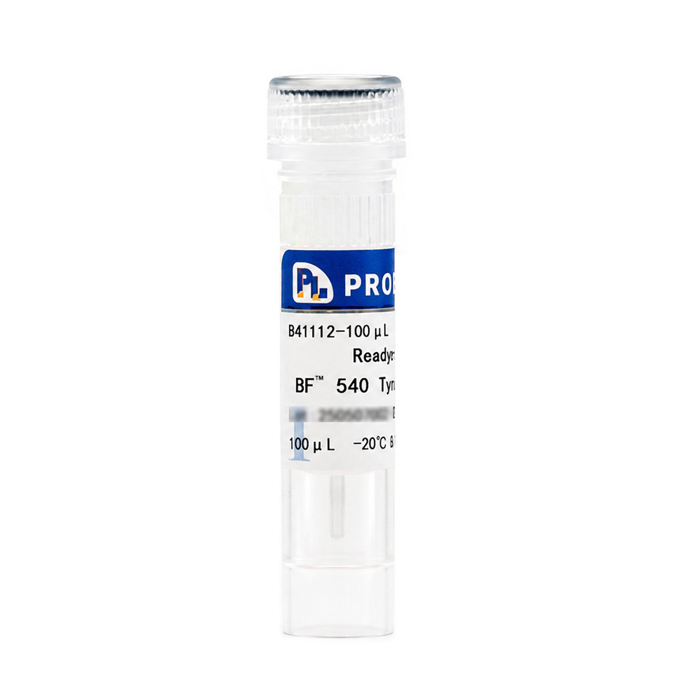 Ready-to-use BF™ 540 Tyramide (200×)