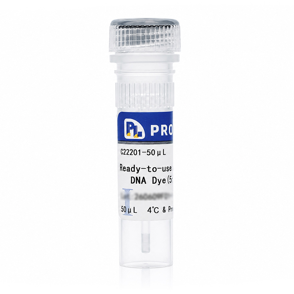 Ready-to-use DRAQ5 Live Cell DNA Dye (5 mM)