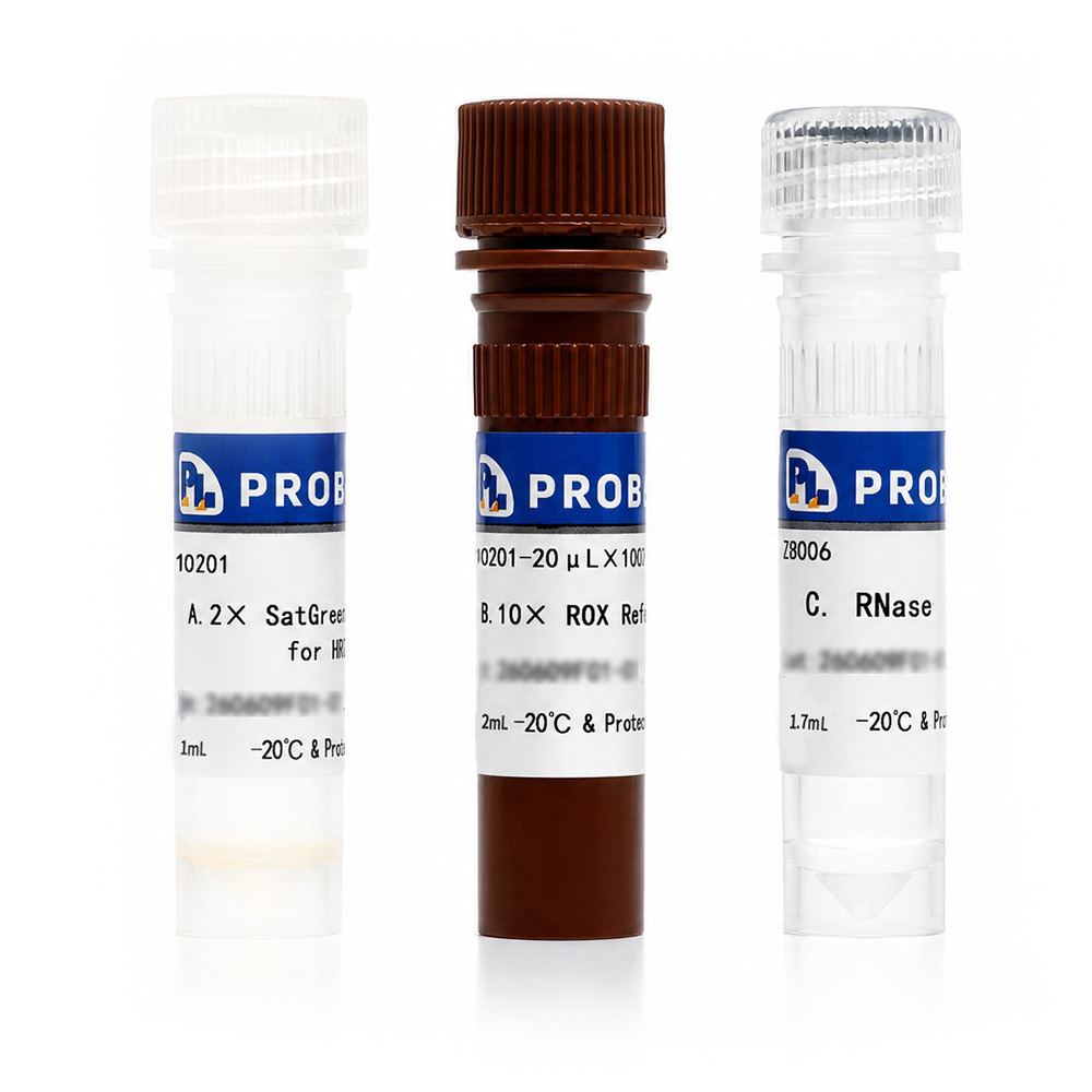 SatGreen qPCR Master Mix for HRM（2×）