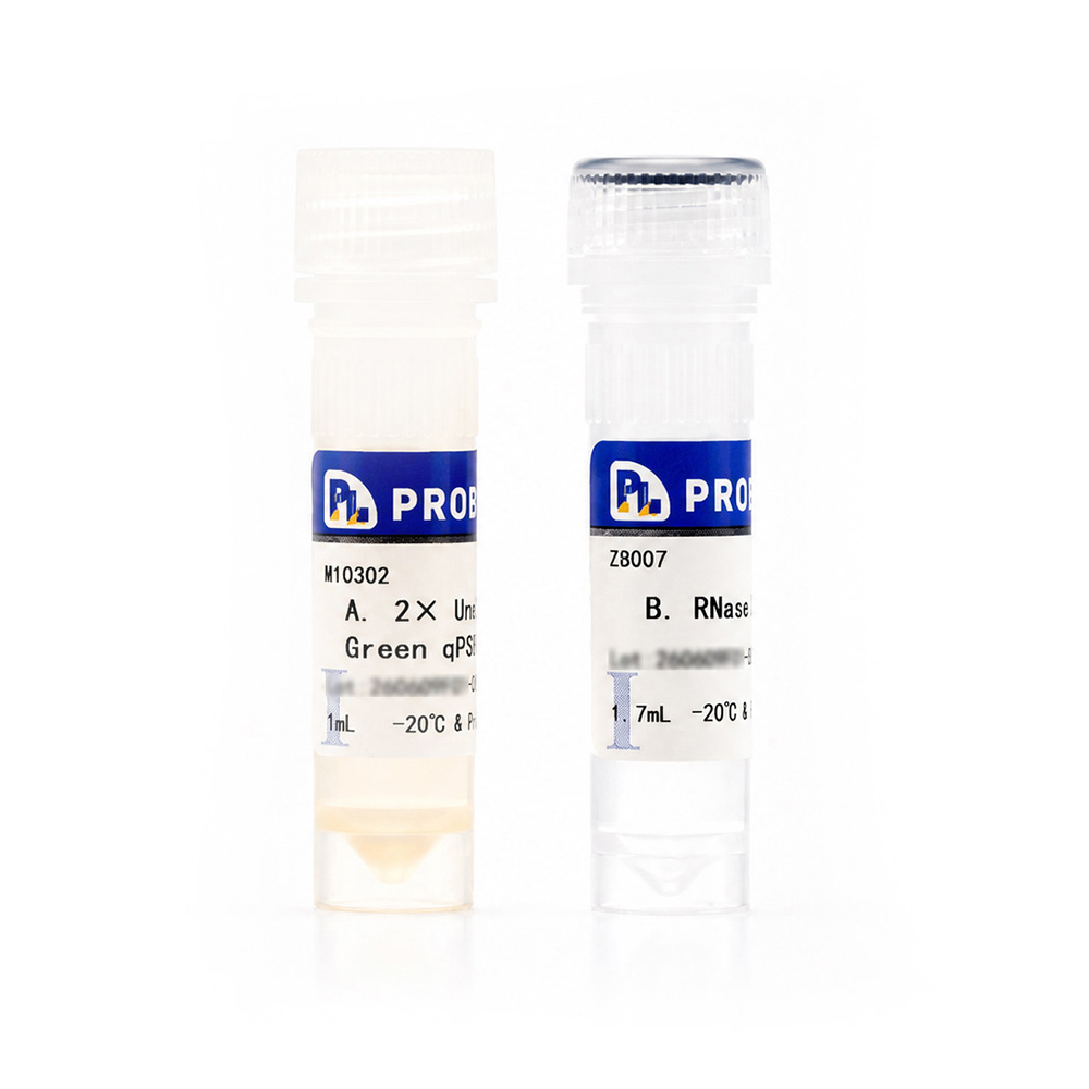 Universal Premixed SYBR Green qPCR Master Mix (Chemical)