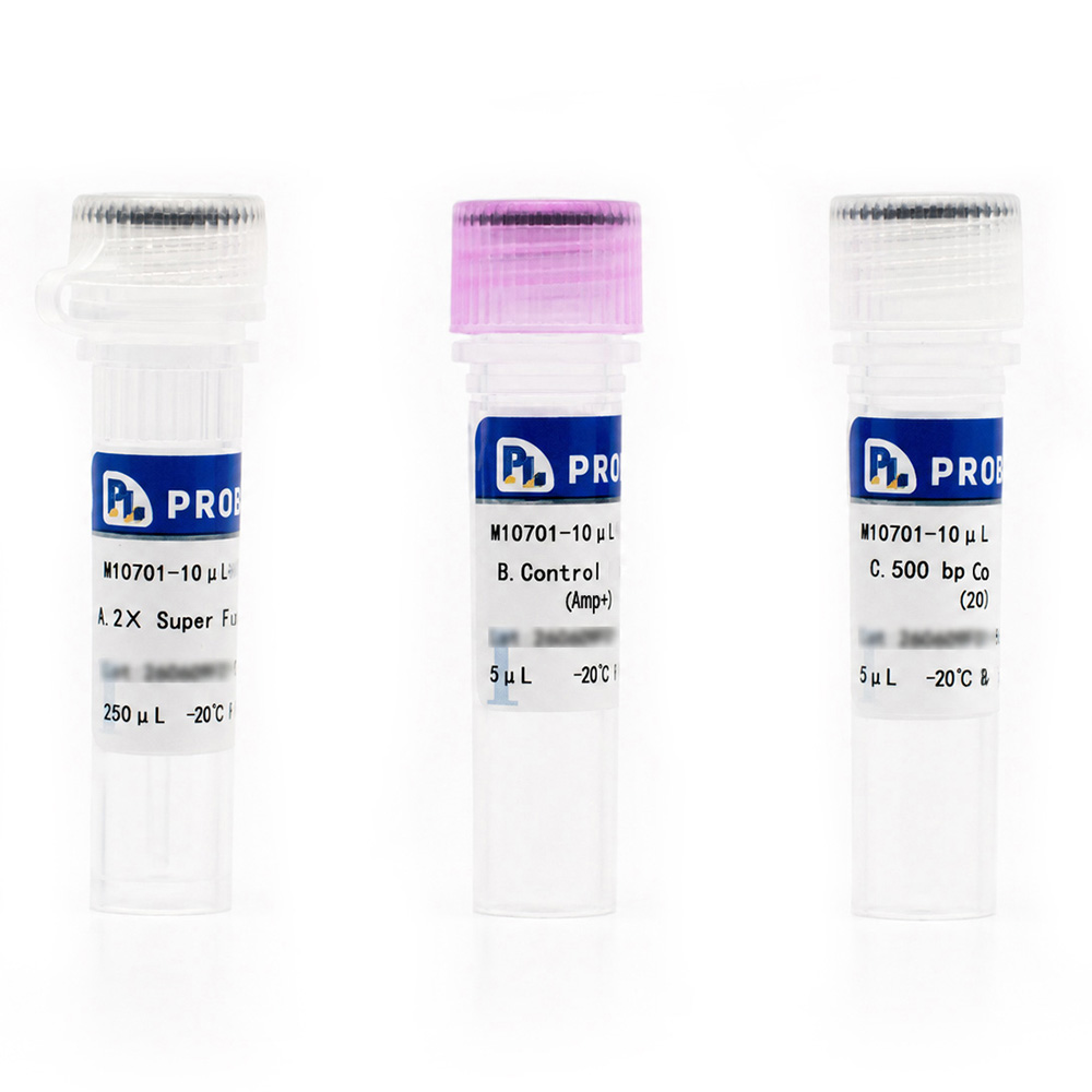 One-Step Seamless Gold Cloning Kits