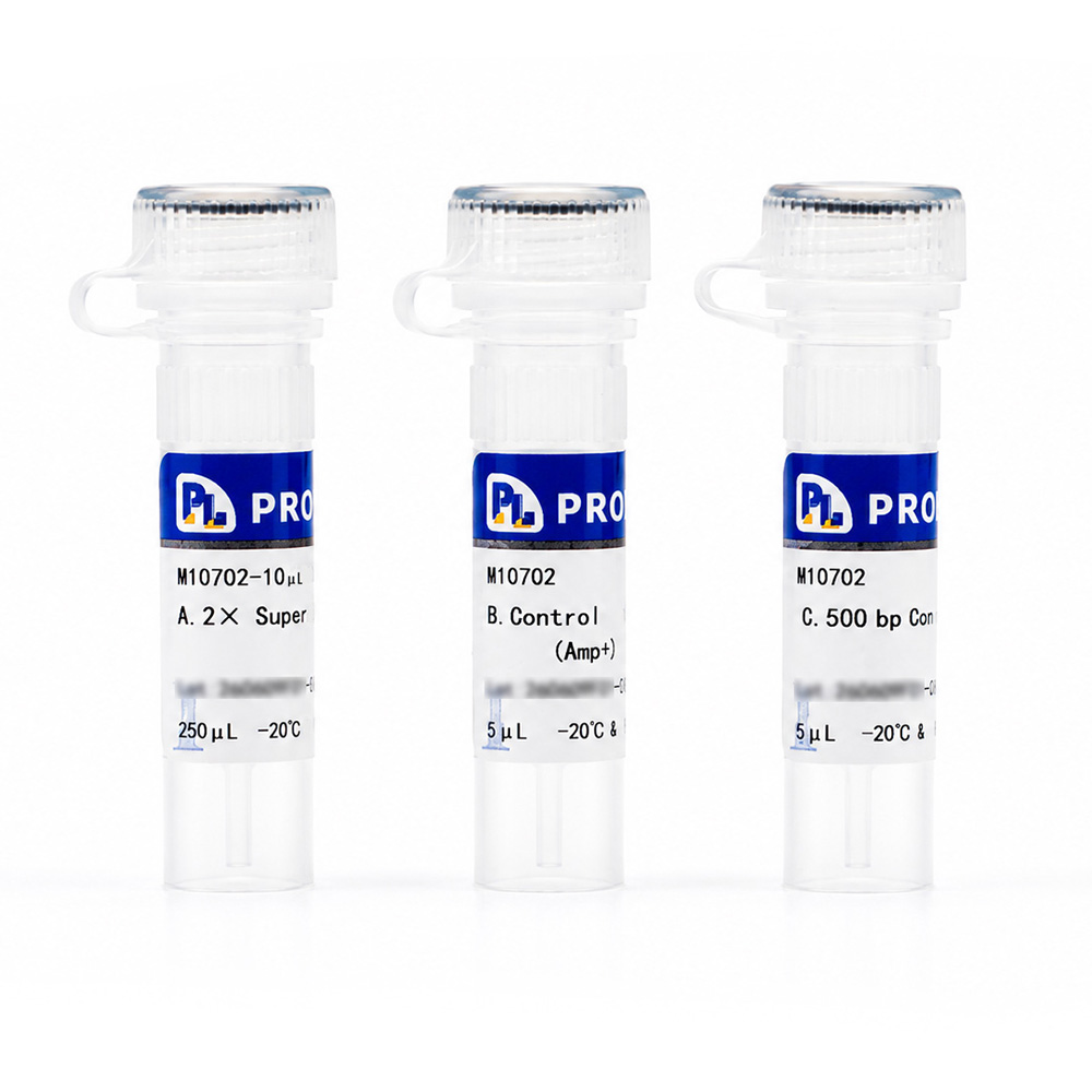 One-Step Seamless Cloning Kits