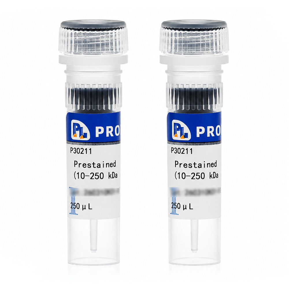 Prestained Protein Ladder (10-250 kDa, Four Colors)