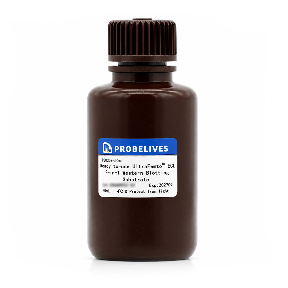 Ready-to-use UltraFemto™ ECL 2-in-1 Western Blotting Substrate