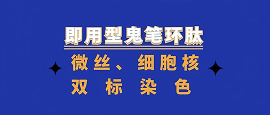 实验党狂喜！15 min搞定微丝+细胞核双标，这款即用型鬼笔环肽试剂盒太香了！