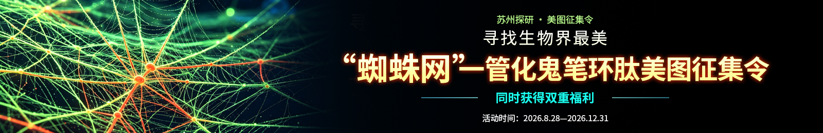 寻找生物界最美蜘蛛网