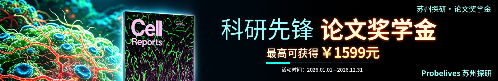 发论文赢奖学金