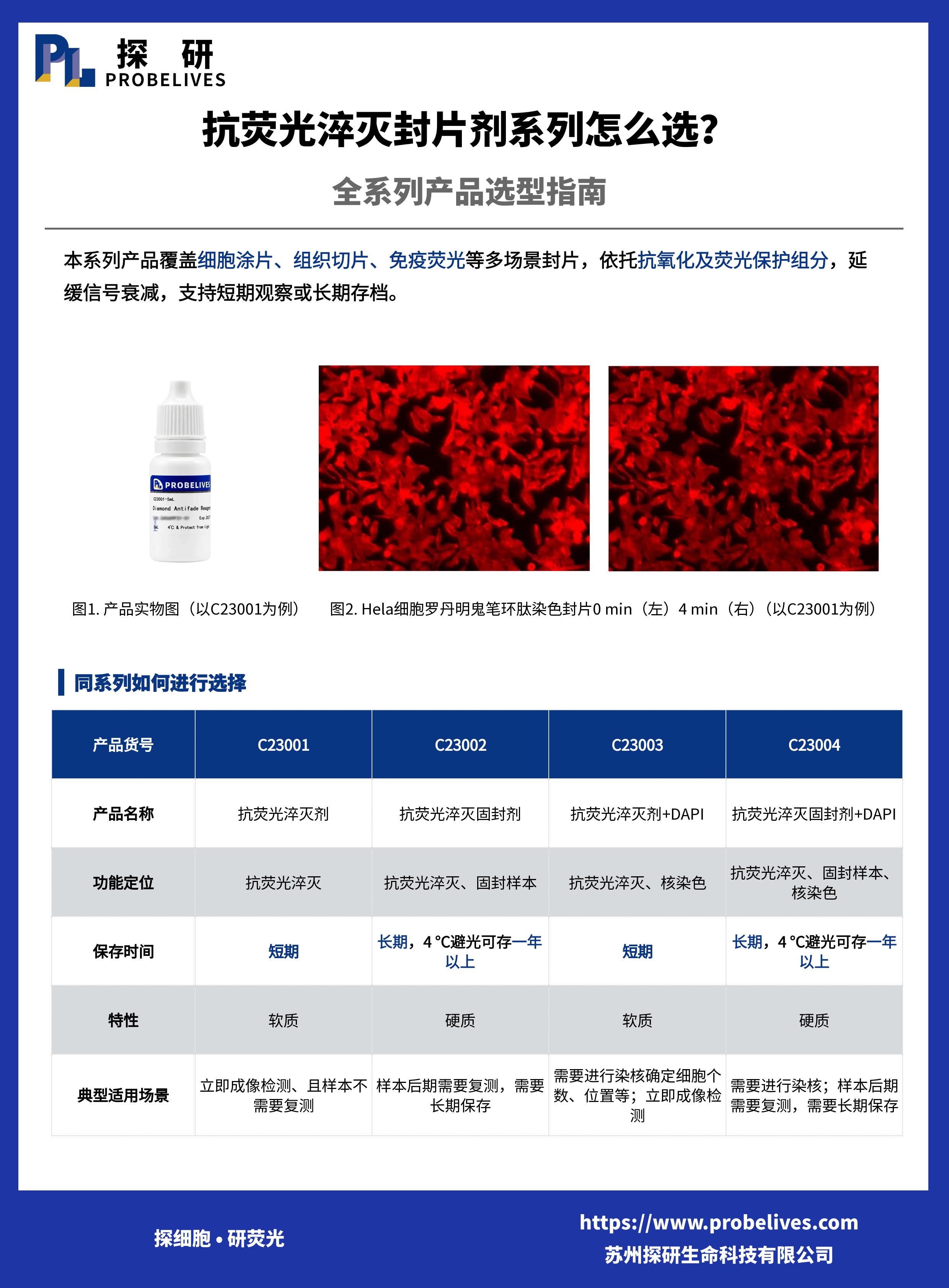 抗荧光淬灭封片剂系列怎么选？