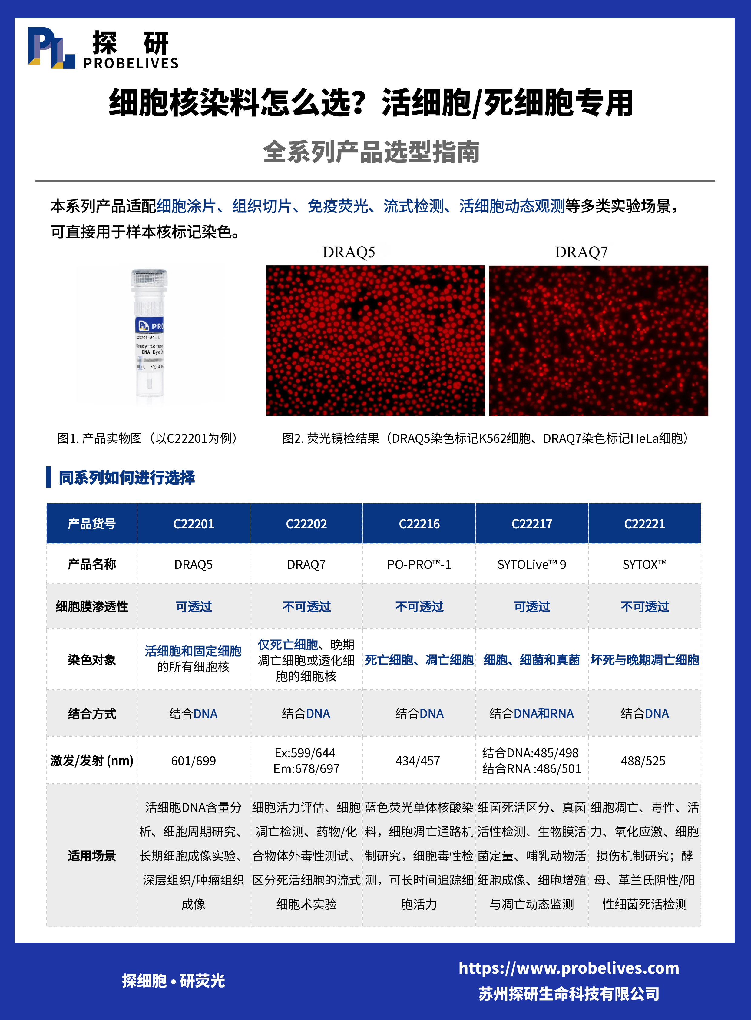 细胞核染料怎么选？