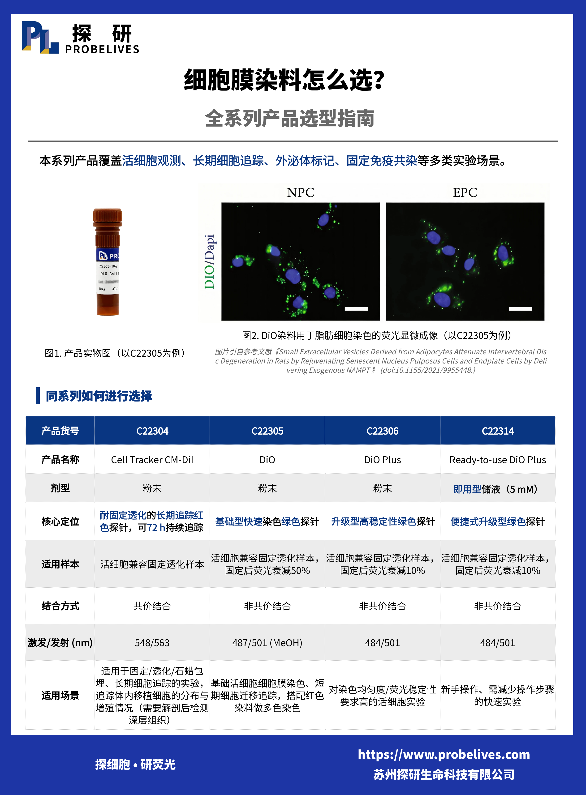 细胞膜染料怎么选？