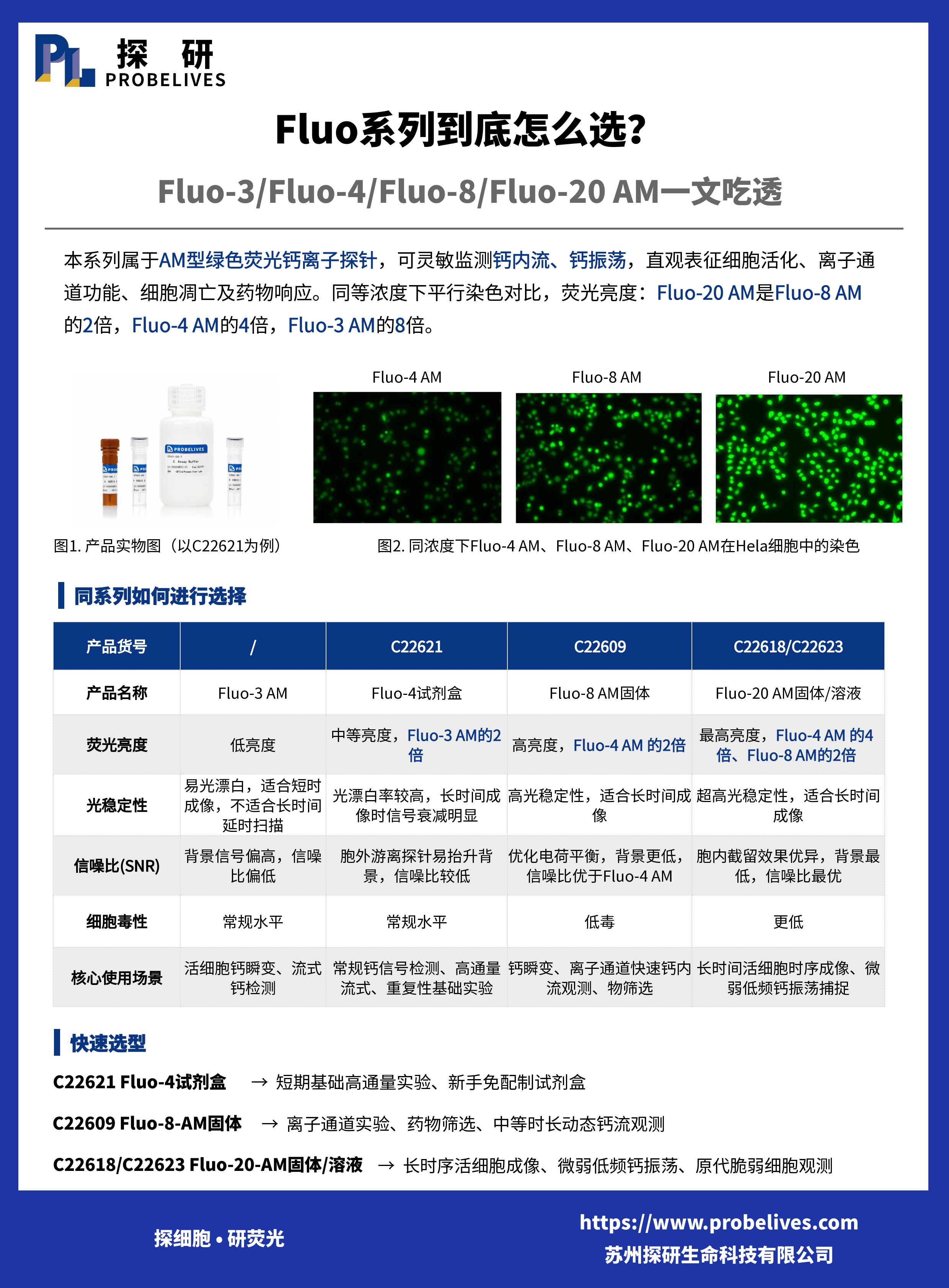 Fluo系列到底怎么选？