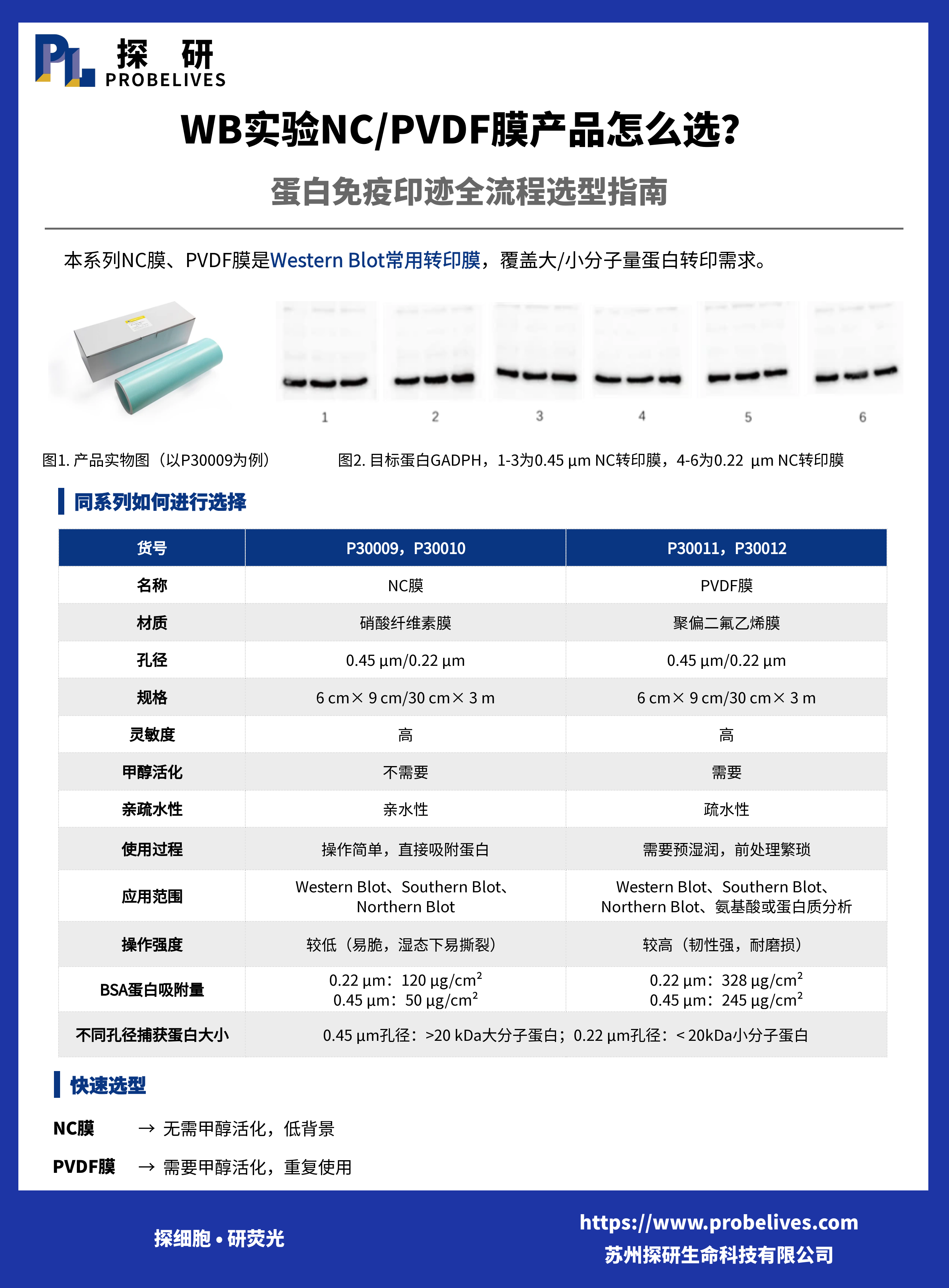 WB实验NC/PVDF膜产品怎么选？