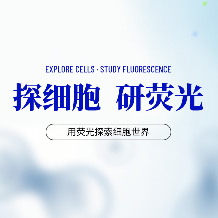 产品目录表